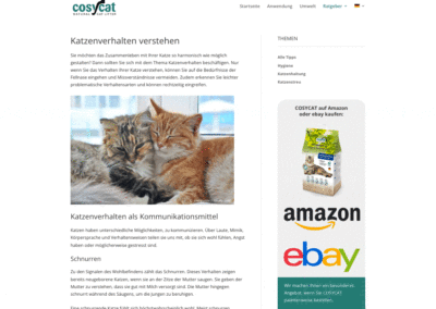COSYCAT product website: writing and translating blog posts