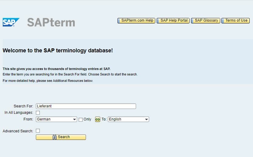 SAPterm entry screen for terminology research
