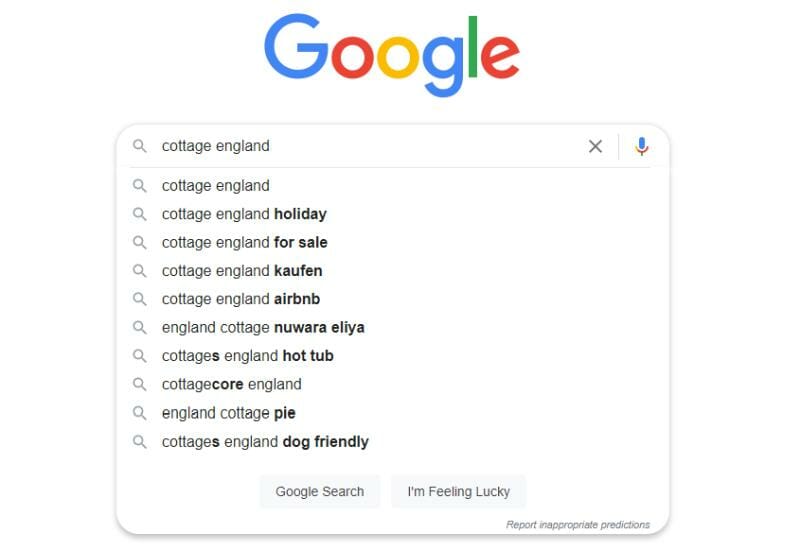 Google search bar with automatic suggestions